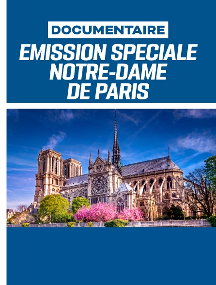 Emission spéciale Notre-Dame de Paris