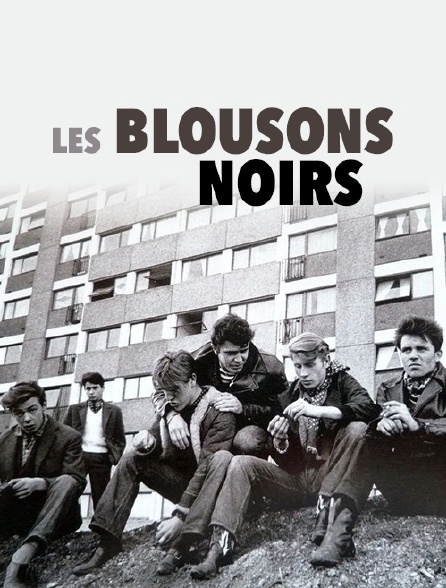 Les blousons noirs