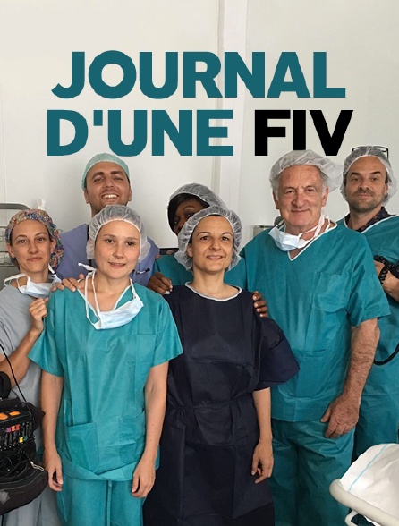 Journal d'une FIV