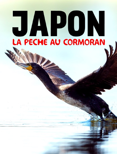 Au Japon, la pêche au cormoran : Une tradition millénaire