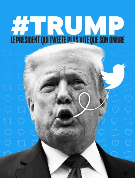 #Trump : Le président qui tweete plus vite que son ombre