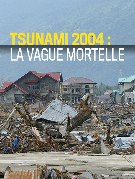 Tsunami 2004 : la vague mortelle