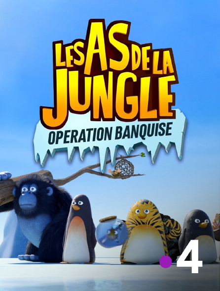 France 4 - Les as de la jungle : opération banquise