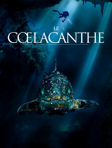 Le coelacanthe