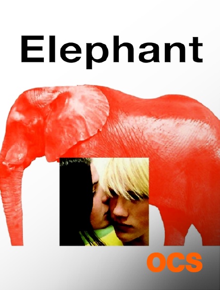 OCS - Elephant