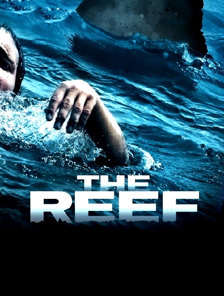 The Reef