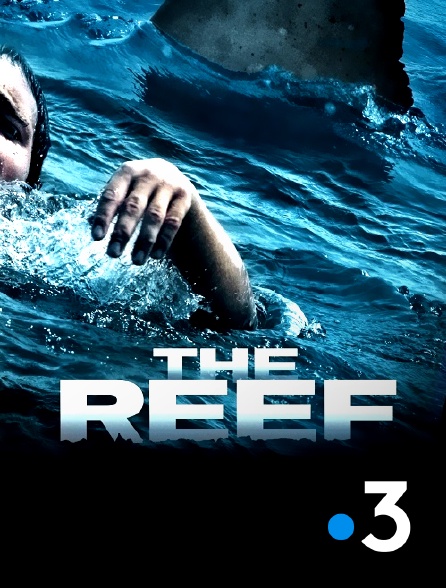 France 3 - The Reef