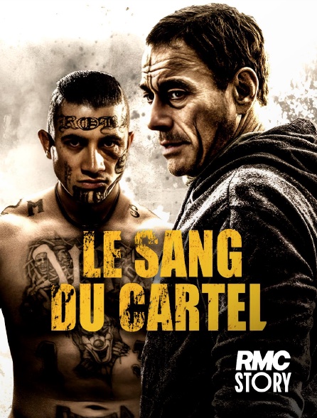 RMC Story - Le sang du cartel en replay