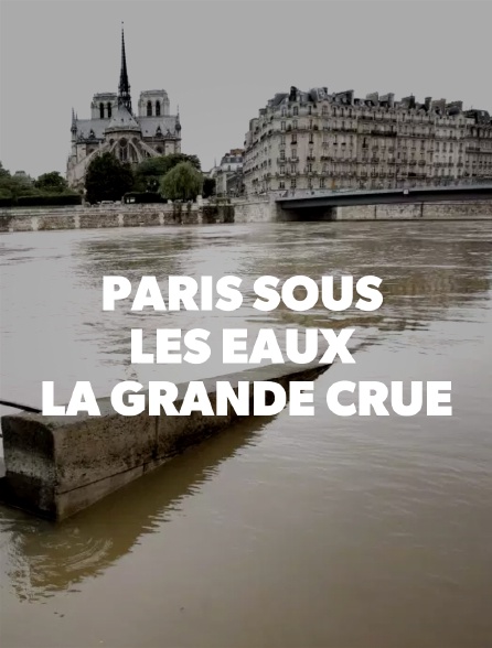 Paris sous les eaux : la grande crue