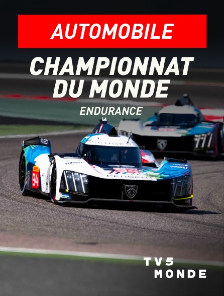 TV5MONDE - Automobile - Endurance : Championnat du monde