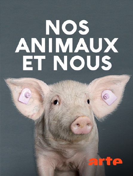 Arte - Nos animaux et nous