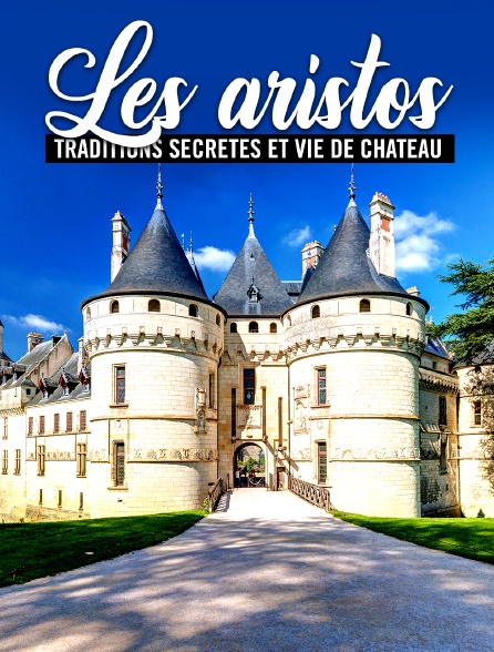 Les aristos: traditions secrètes et vie de château