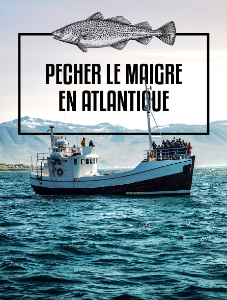 Pêcher le maigre en Atlantique