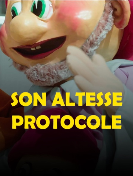 Son altesse protocole