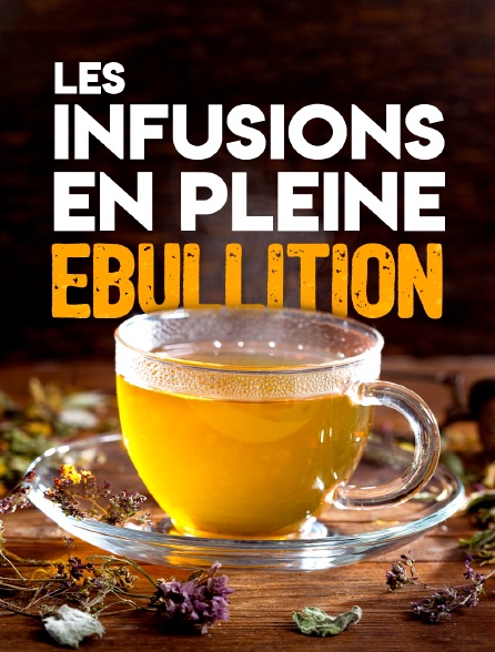 Les infusions en pleine ébullition