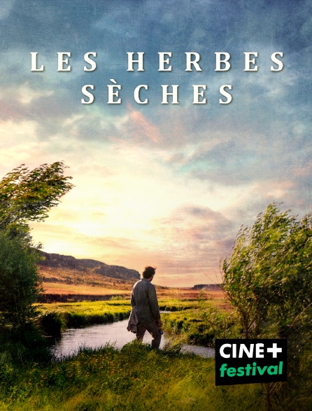 CINE+ Festival - Les Herbes sèches