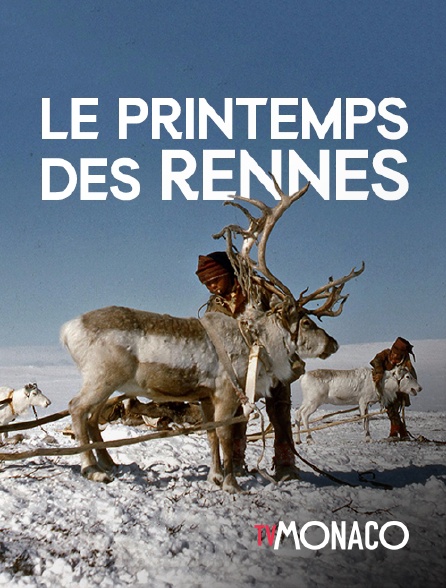 TV Monaco - Le printemps des rennes