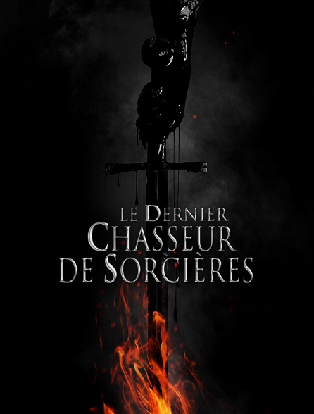 Le dernier chasseur de sorci res en streaming