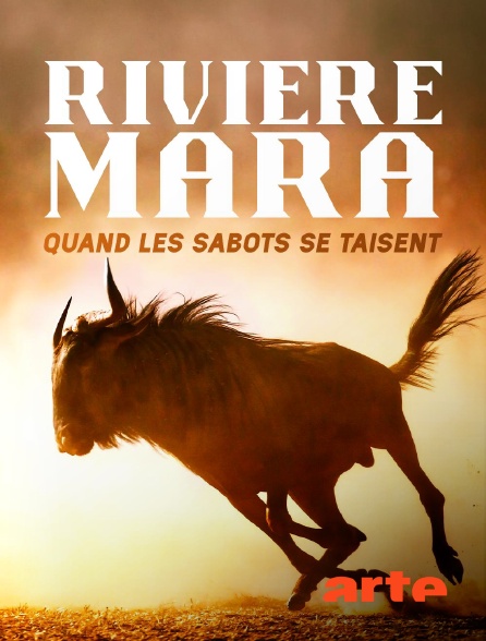 Arte - Rivière Mara, quand les sabots se taisent : Le berceau de la savane