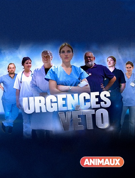 Animaux - Urgences véto