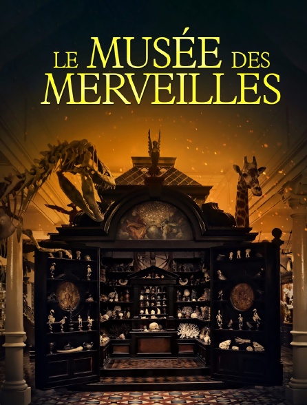 Le musée des merveilles