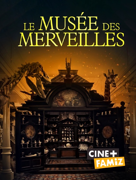Ciné+ Famiz - Le musée des merveilles