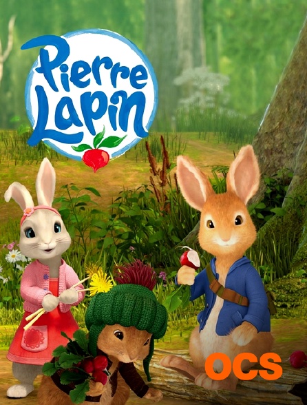 OCS - Pierre Lapin