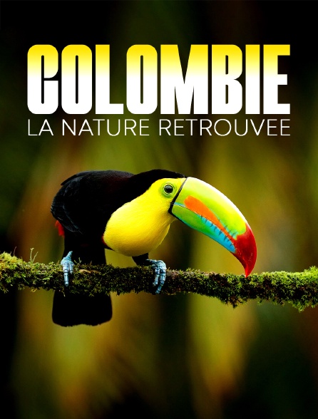 Destination Wild : Colombie