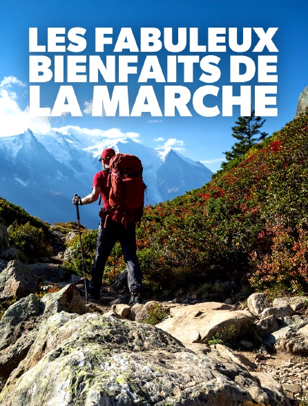 Les fabuleux bienfaits de la marche