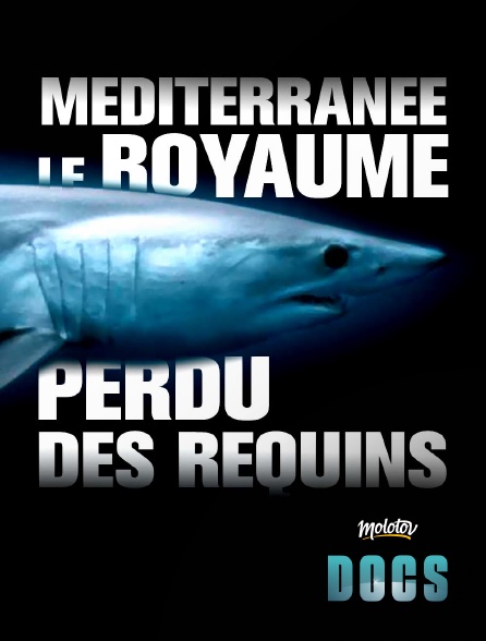 Molotov Channels Docs - Méditerranée, le royaume perdu des requins