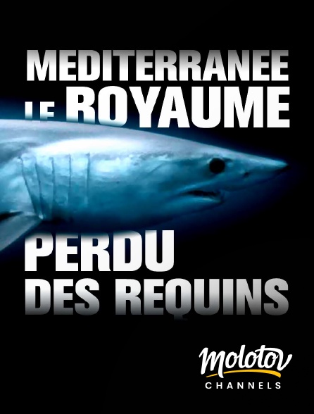 Mango - Méditerranée, le royaume perdu des requins