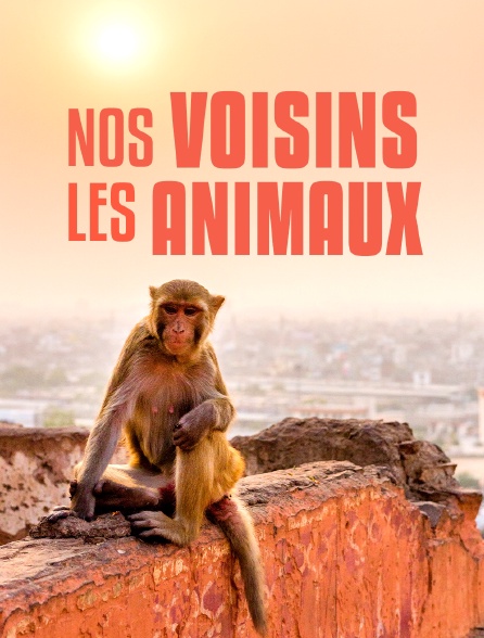 Nos voisins les animaux