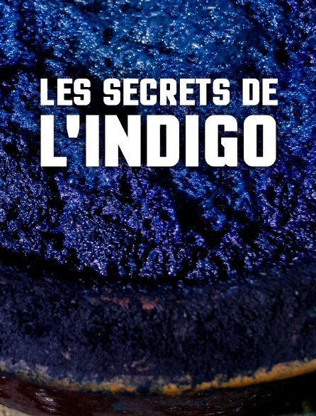 Les secrets de l'indigo