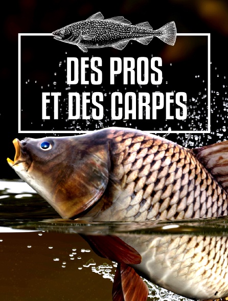 Des pros et des carpes