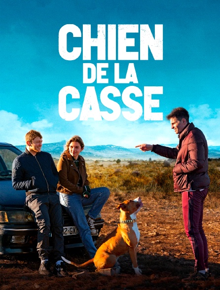 Chien de la casse