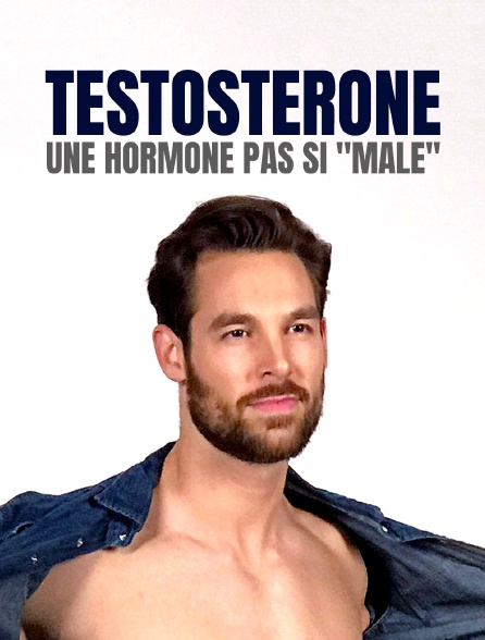 Testostérone : une hormone pas si "mâle"