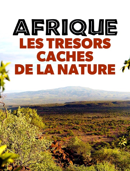 Afrique : Les trésors cachés de la nature