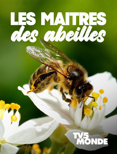 TV5MONDE - Les maîtres des abeilles