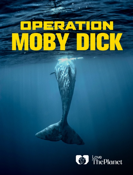 Love the Planet - Opération Moby Dick