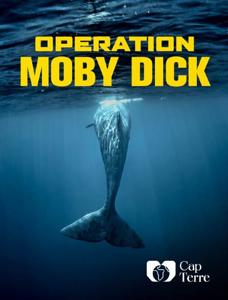 Cap Terre - Opération Moby Dick