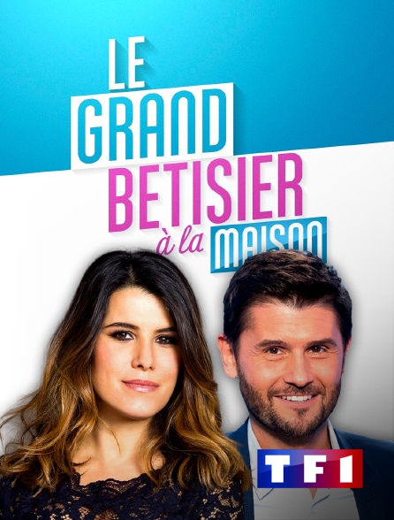 TF1 - Le grand bêtisier à la maison