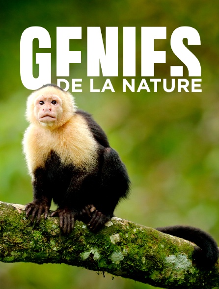 Génies de la nature