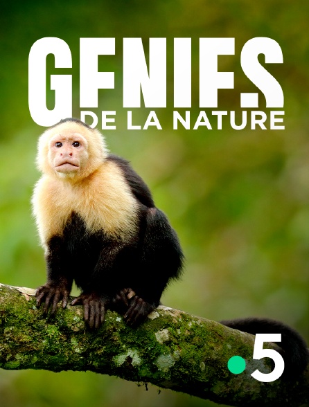 France 5 - Génies de la nature