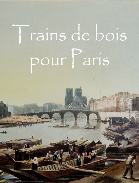 Des trains de bois pour Paris