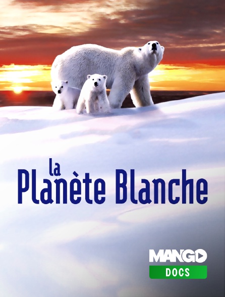 MANGO Docs - La planète blanche