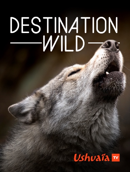Ushuaïa TV - Destination Wild