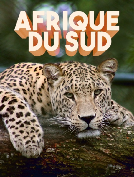 Afrique du Sud