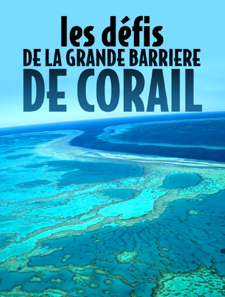 Les défis de la Grande Barrière de corail