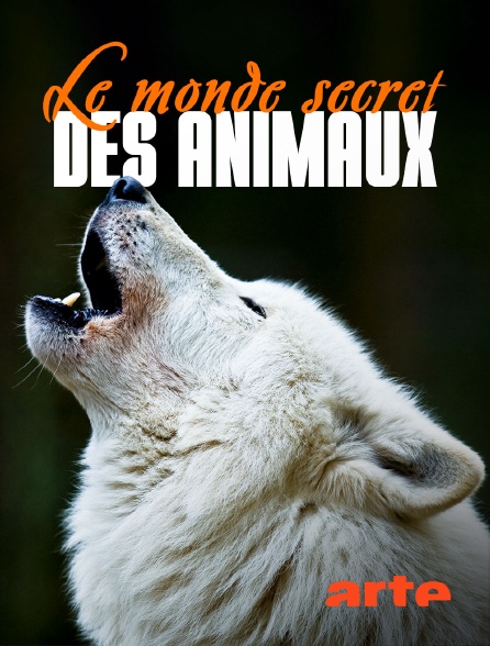 Arte - Le monde secret des animaux