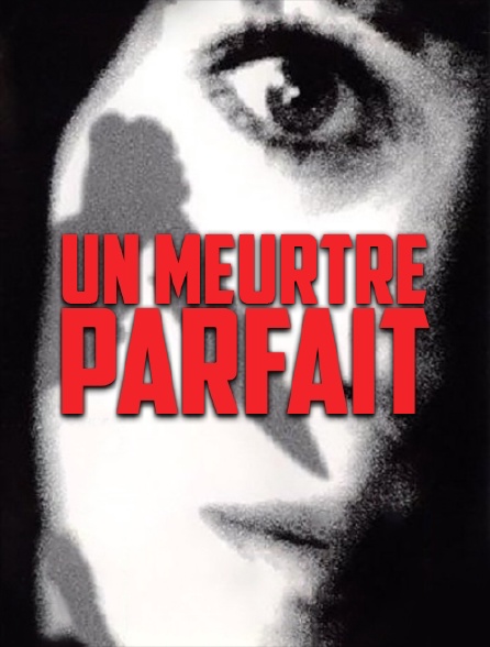 L'amant Parfait Est Un Inconnu Ou Presque Un meurtre parfait en Streaming - Molotov.tv